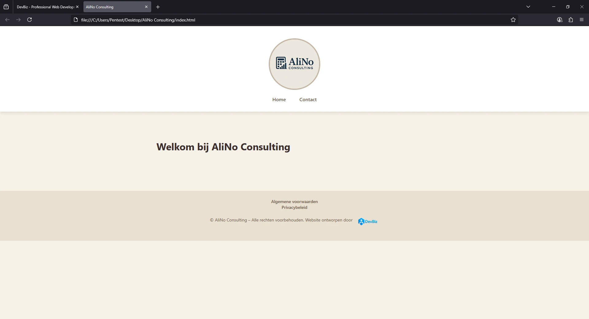 AliNo Consulting Website
